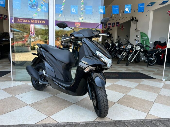 FLUO 250 2024