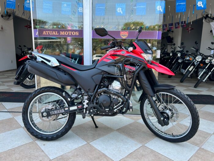 LANDER 250 ABS 2024 FLEX - Imagem 8